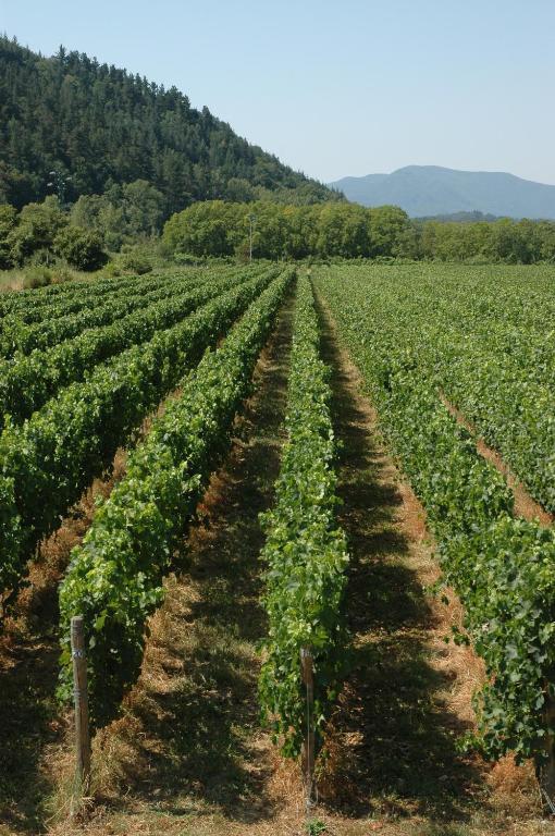 Agriturismo Casteldelpiano Licciana Nardi Экстерьер фото